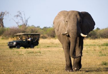 The UK-Rwanda Asylum Seekers Partnership Agreement