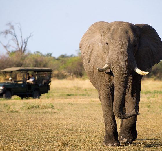 The UK-Rwanda Asylum Seekers Partnership Agreement