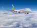 Top 6 Best Airlines in Africa